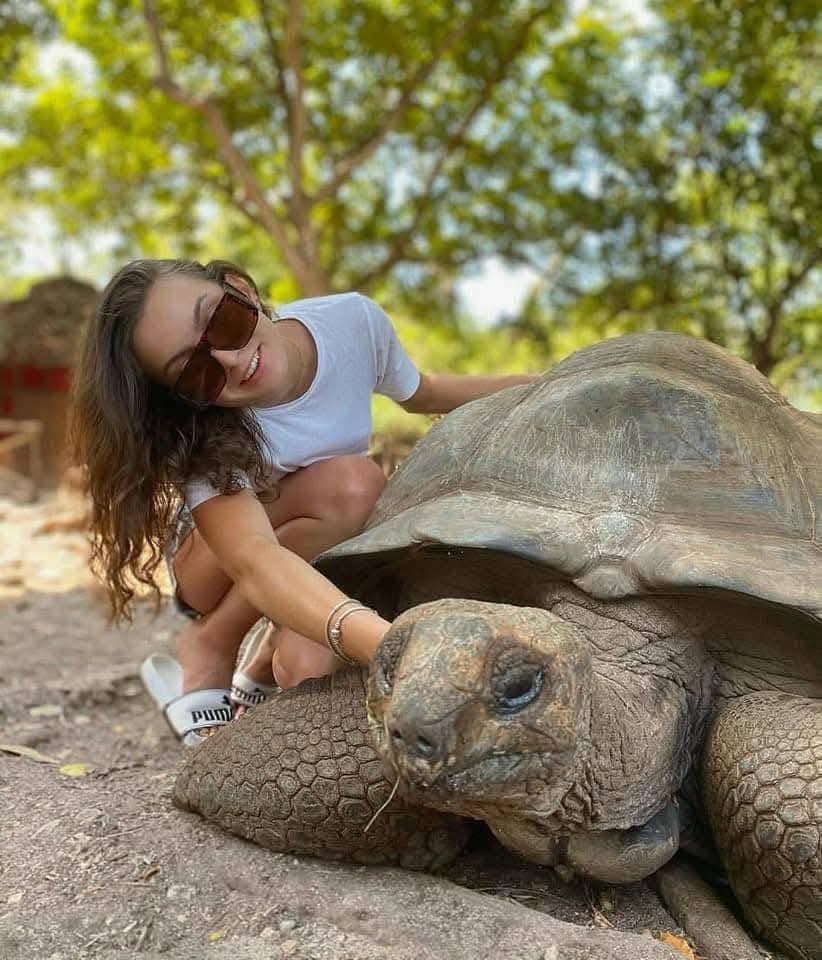 Prison Island tortoise